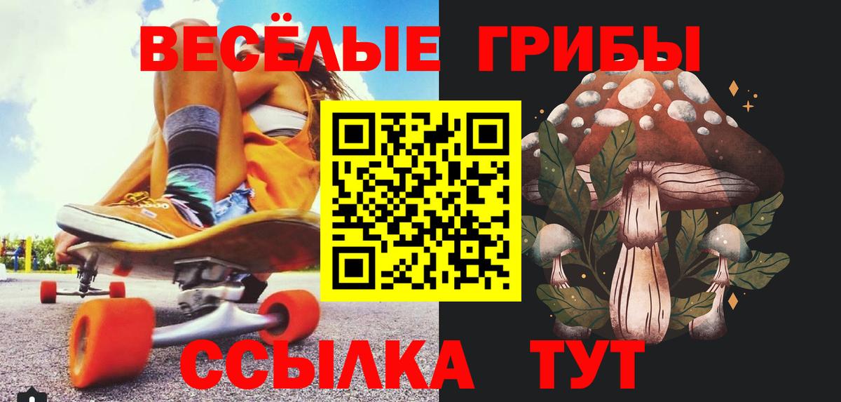 Псилоцибиновые грибы GOLDEN TEACHER  Вход с VPN  Малгобек  Псилоцибиновые грибы MAGIC MUSHROOMS 