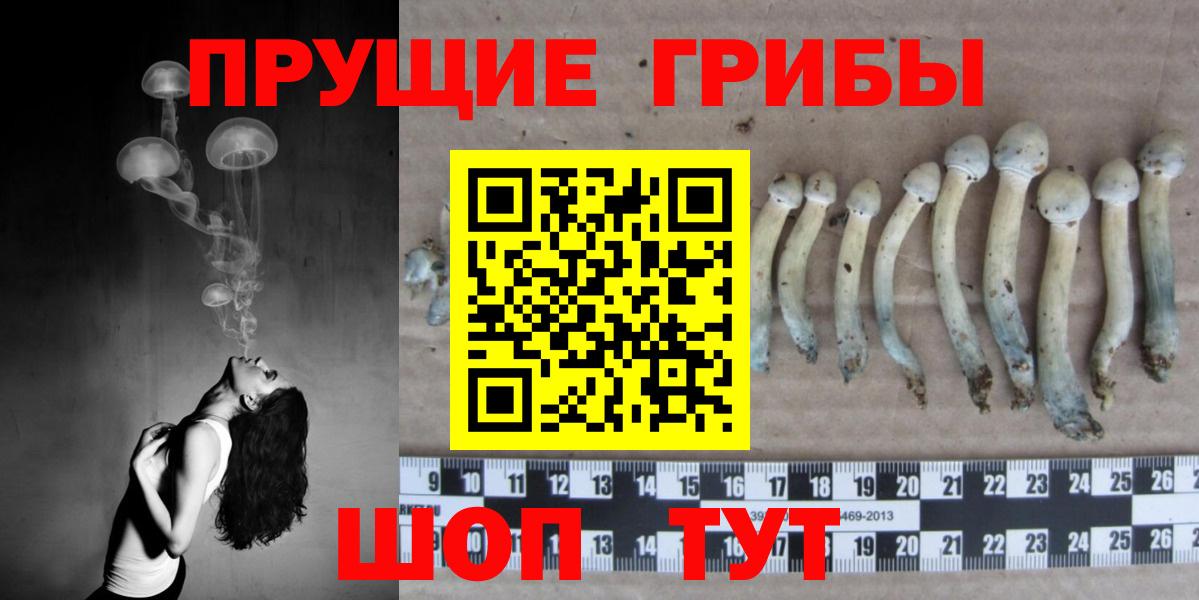 Галлюциногенные грибы прущие грибы Малгобек